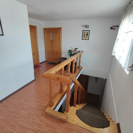 Camere De Inchiriat Edelweiss Dumbrava Roşie Εξωτερικό φωτογραφία