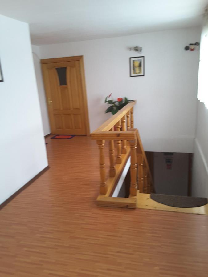Camere De Inchiriat Edelweiss Dumbrava Roşie Εξωτερικό φωτογραφία