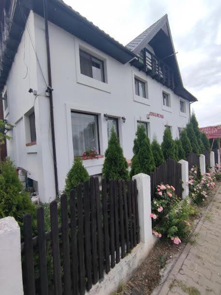 Camere De Inchiriat Edelweiss Dumbrava Roşie Εξωτερικό φωτογραφία